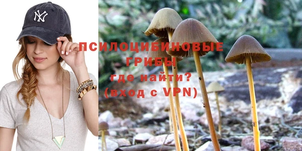 гидропоника Абинск