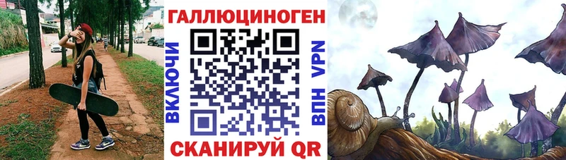 где можно купить   Серафимович  Псилоцибиновые грибы MAGIC MUSHROOMS 