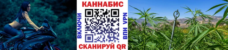 МАРИХУАНА White Widow  Серафимович 